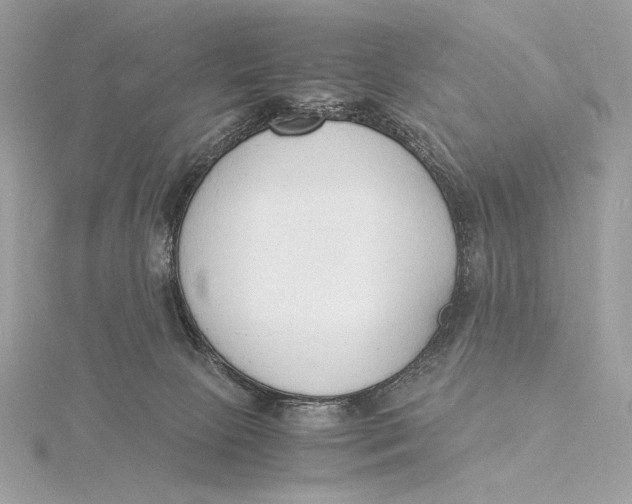 X0000115840081200912041717