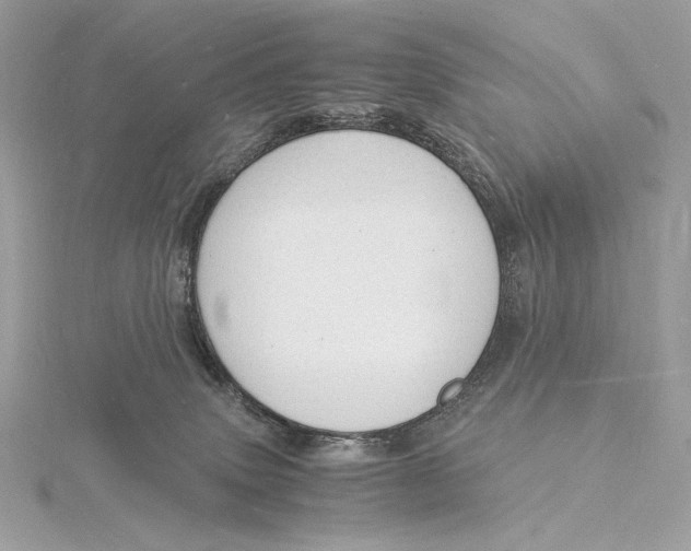 X0000115840083200912041717