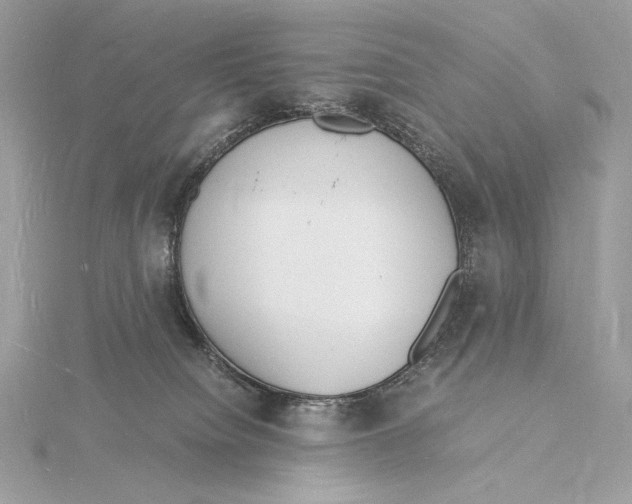 X0000115840084200912041717