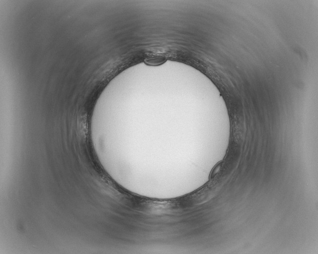 X0000115840085200912041717