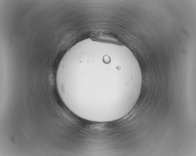 X0000115840086200912041717