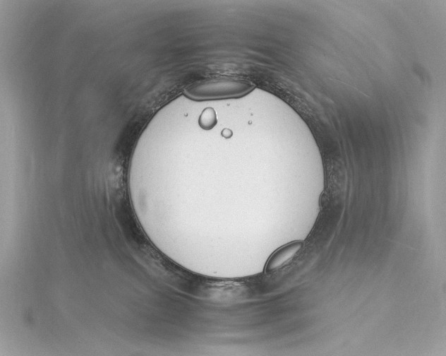 X0000115840087200912041717