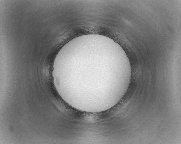 X0000115840088200912041717