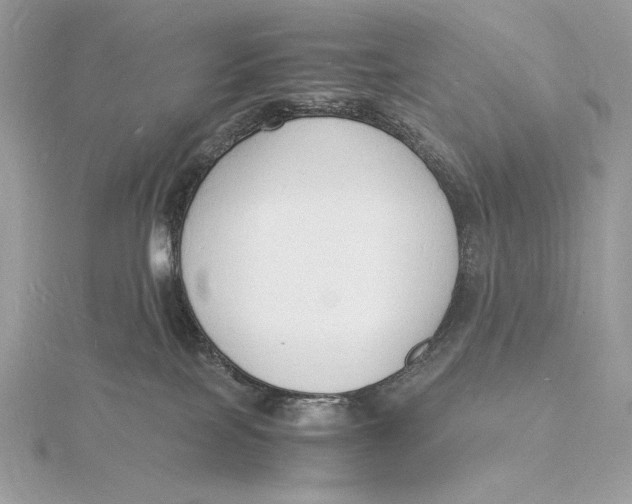 X0000115840089200912041717