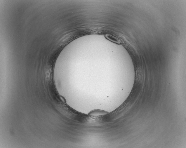 X0000115840092200912041717