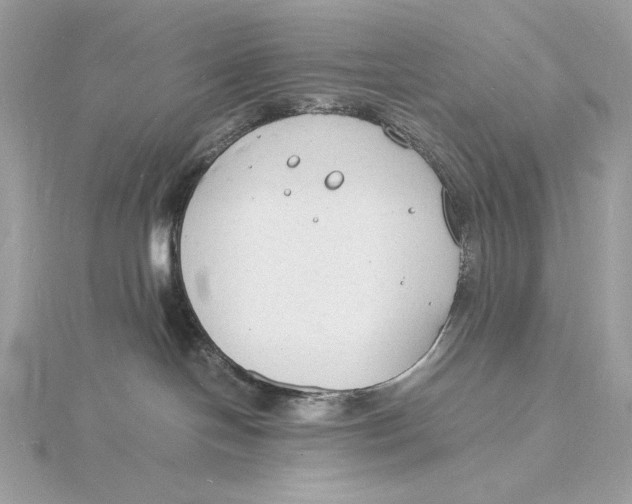 X0000115840094200912041717