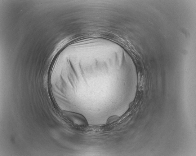 X0000115840099200912041716