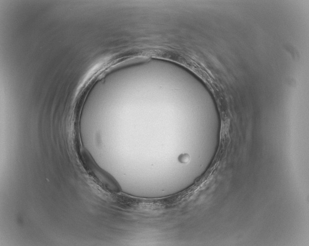 X0000115840101200912041716