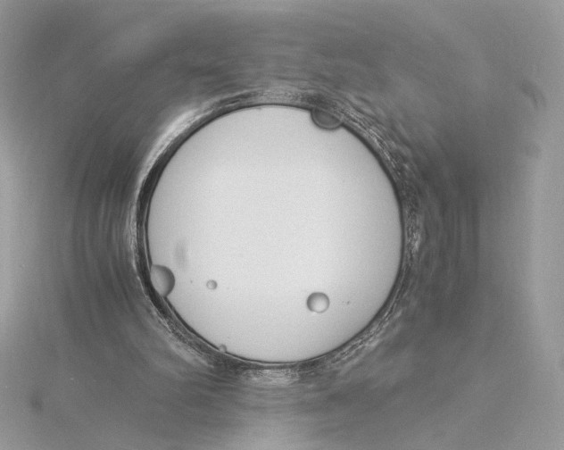 X0000115840102200912041716