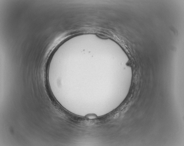 X0000115840103200912041716