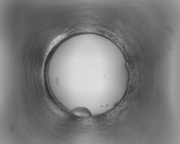 X0000115840104200912041716