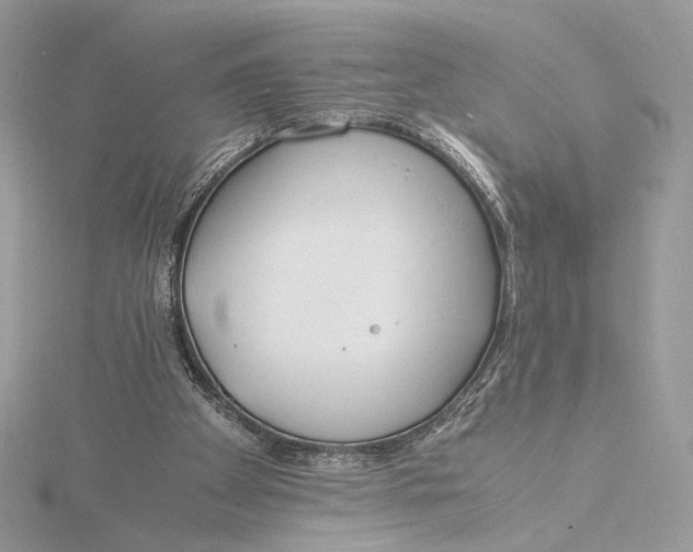 X0000115840105200912041716