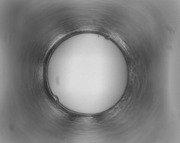 X0000115840108200912041716