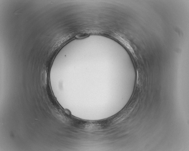 X0000115840109200912041716