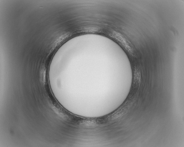 X0000115840110200912041716