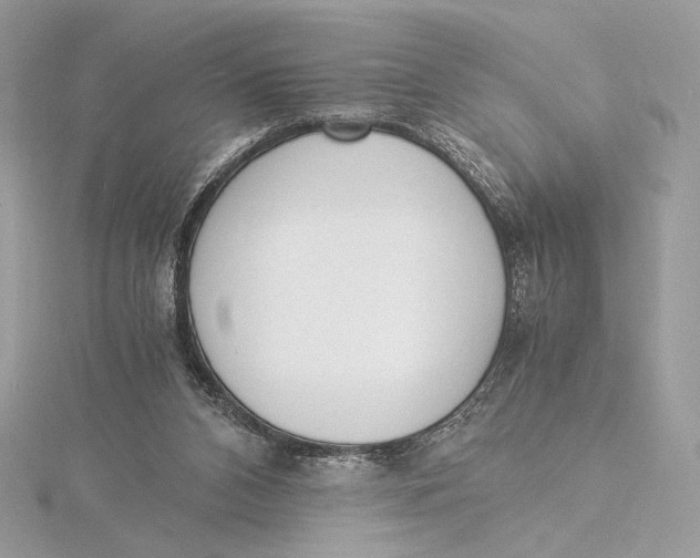 X0000115840112200912041716