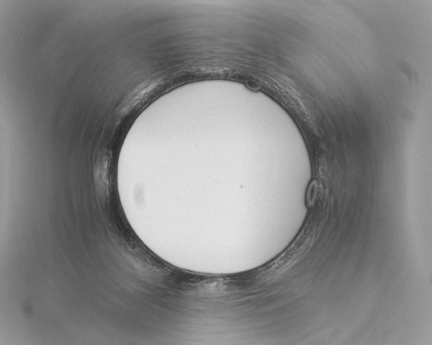 X0000115840116200912041716