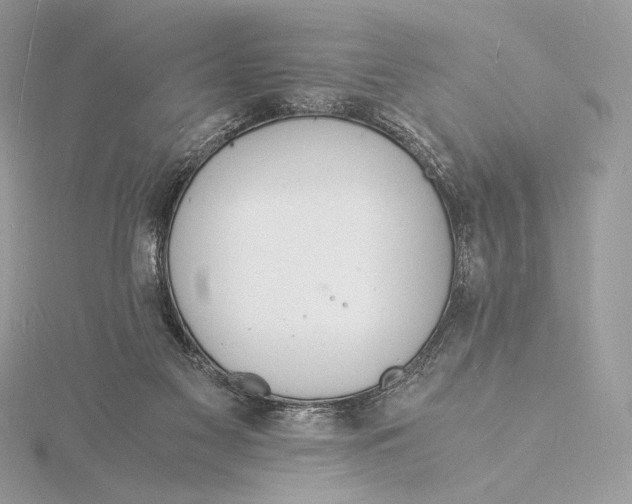 X0000115840117200912041716