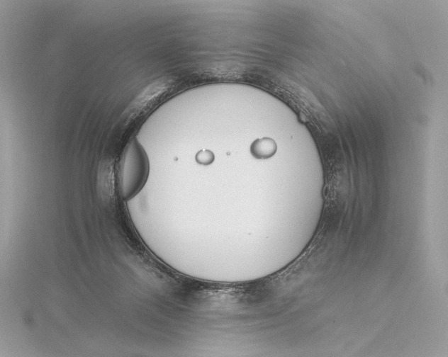 X0000115840120200912041716