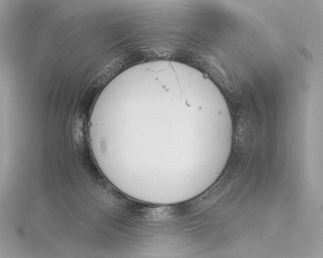 X0000115840122200912041716