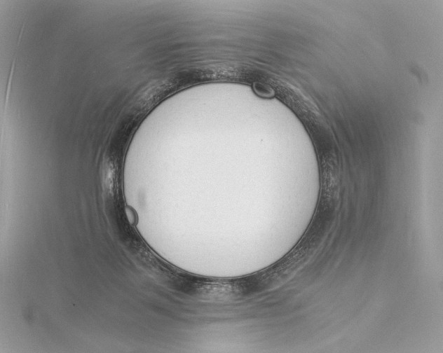 X0000115840123200912041716