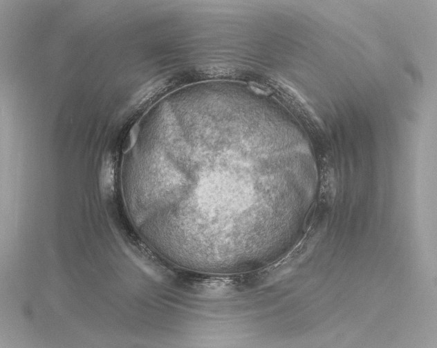 X0000115840124200912041716