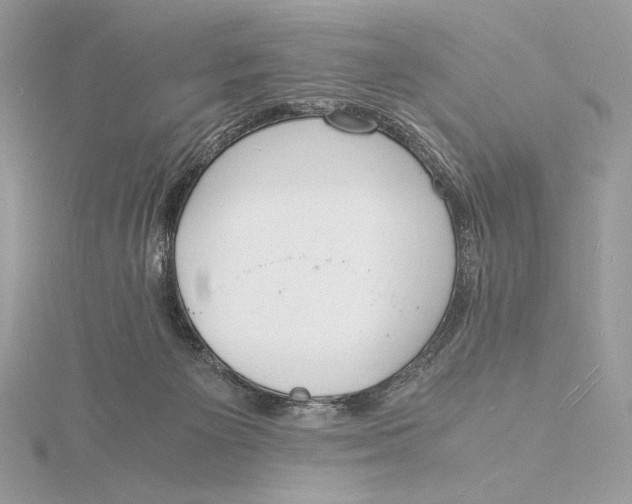 X0000115840125200912041716