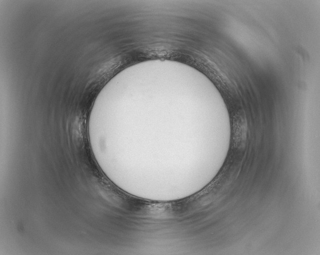 X0000115840126200912041716