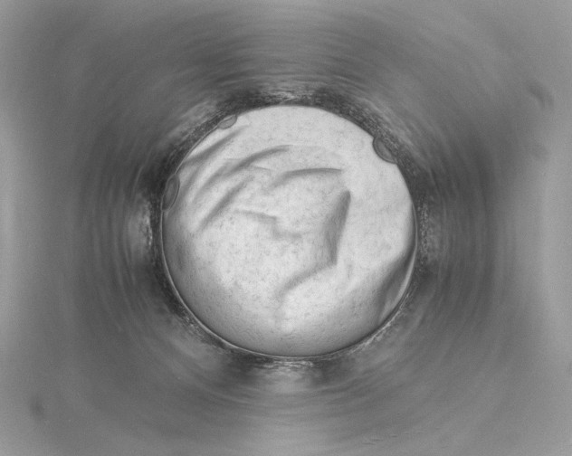 X0000115840128200912041716