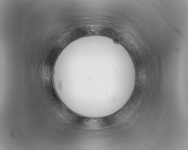 X0000115840129200912041716