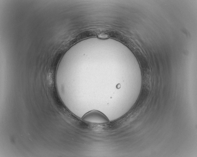 X0000115840131200912041716