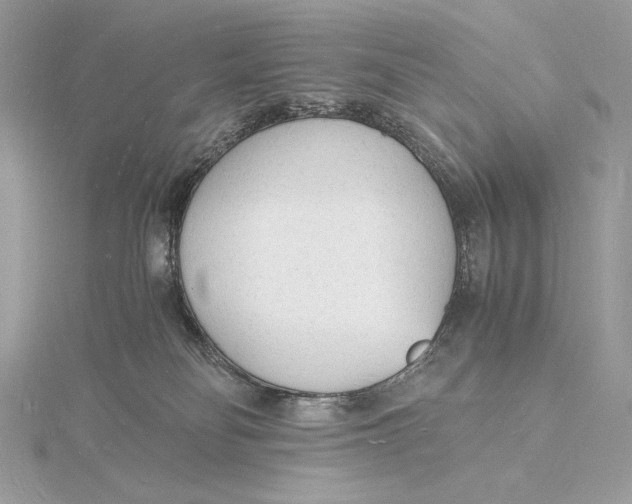 X0000115840134200912041716