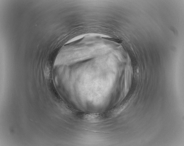 X0000115840139200912041716