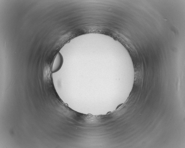 X0000115840142200912041716