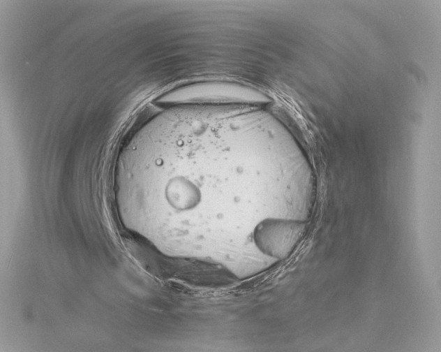 X0000115840145200912041715