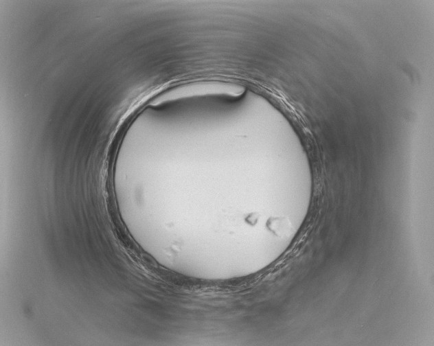 X0000115840146200912041715