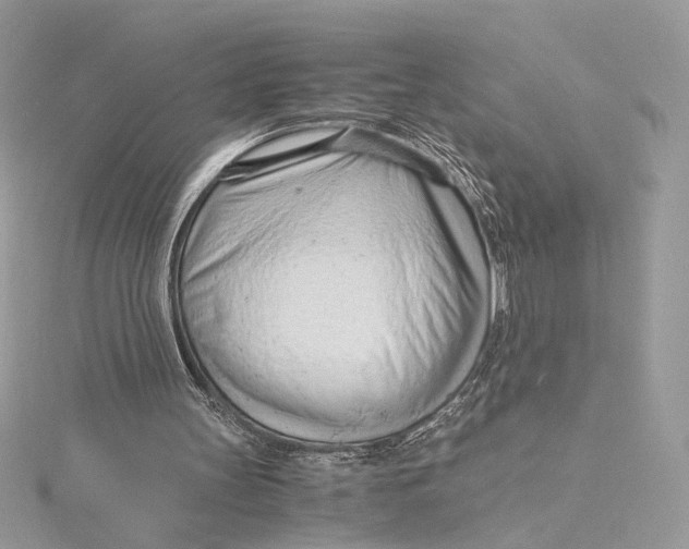 X0000115840147200912041715