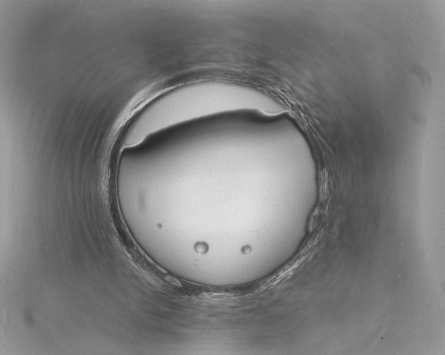 X0000115840150200912041715