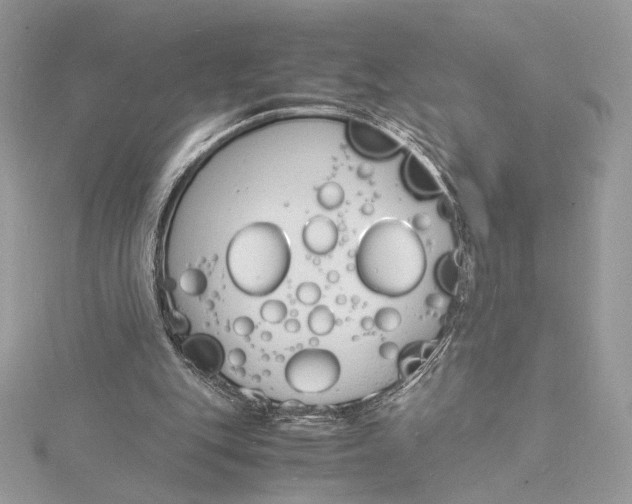 X0000115840151200912041715