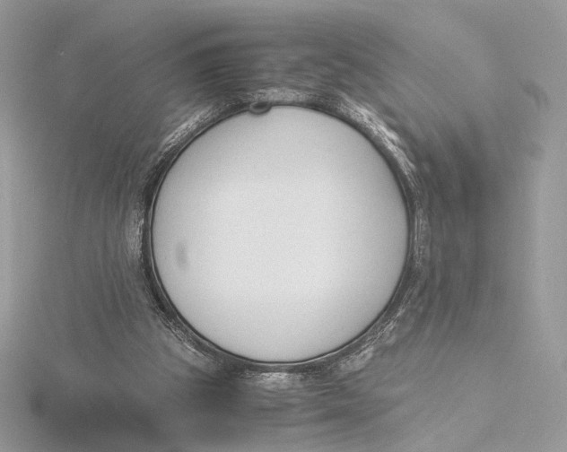 X0000115840153200912041715