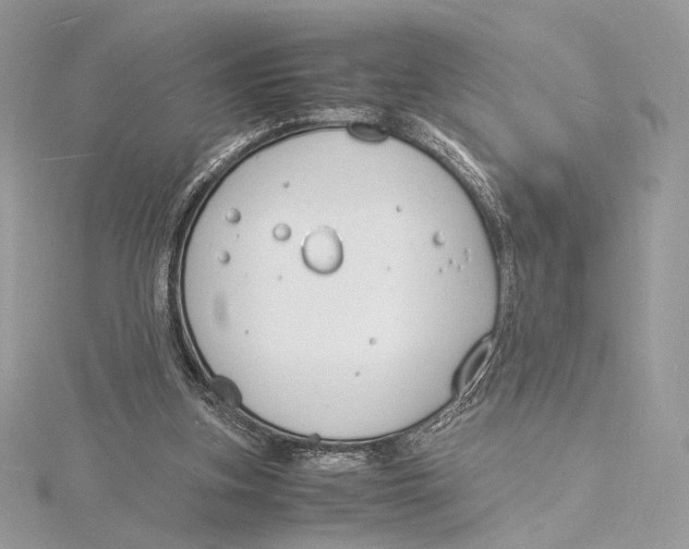 X0000115840155200912041715