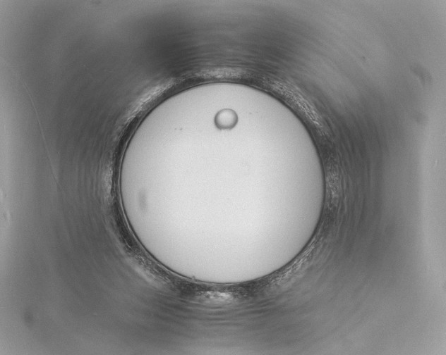 X0000115840159200912041715