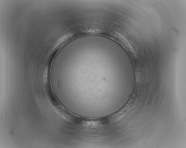 X0000115840163200912041715