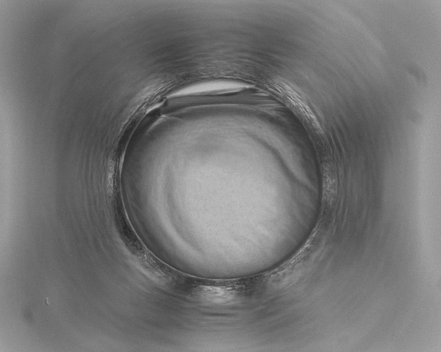 X0000115840167200912041715