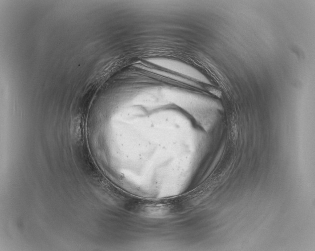 X0000115840169200912041715