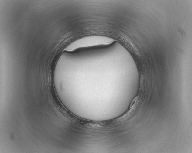 X0000115840170200912041715