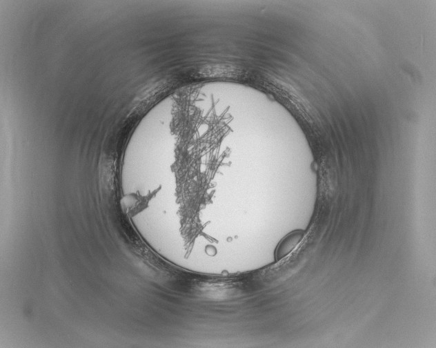 X0000115840171200912041715