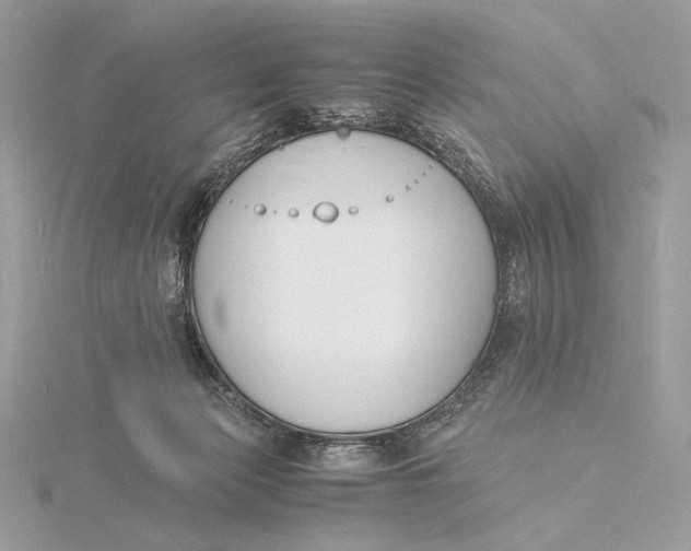 X0000115840173200912041715