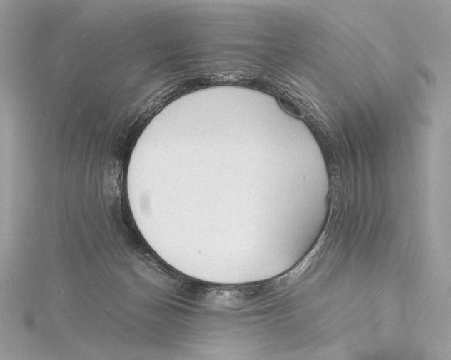 X0000115840174200912041715