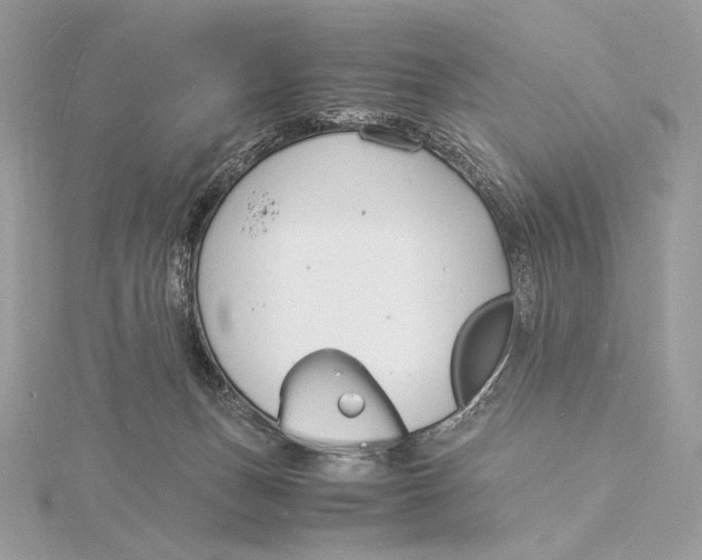 X0000115840175200912041715